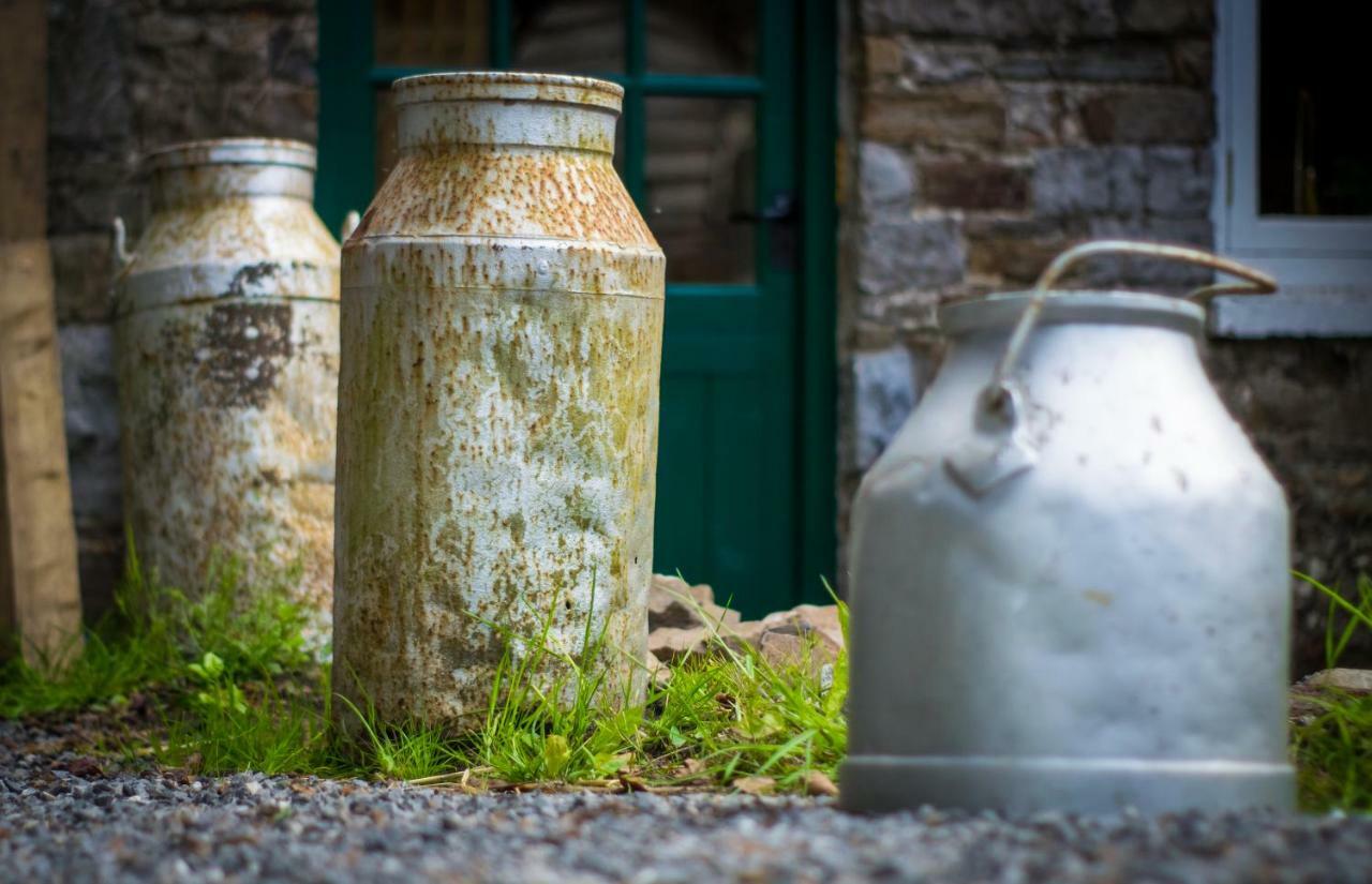 Pontyclerc Farm House Bed And Breakfast アンマンフォード エクステリア 写真