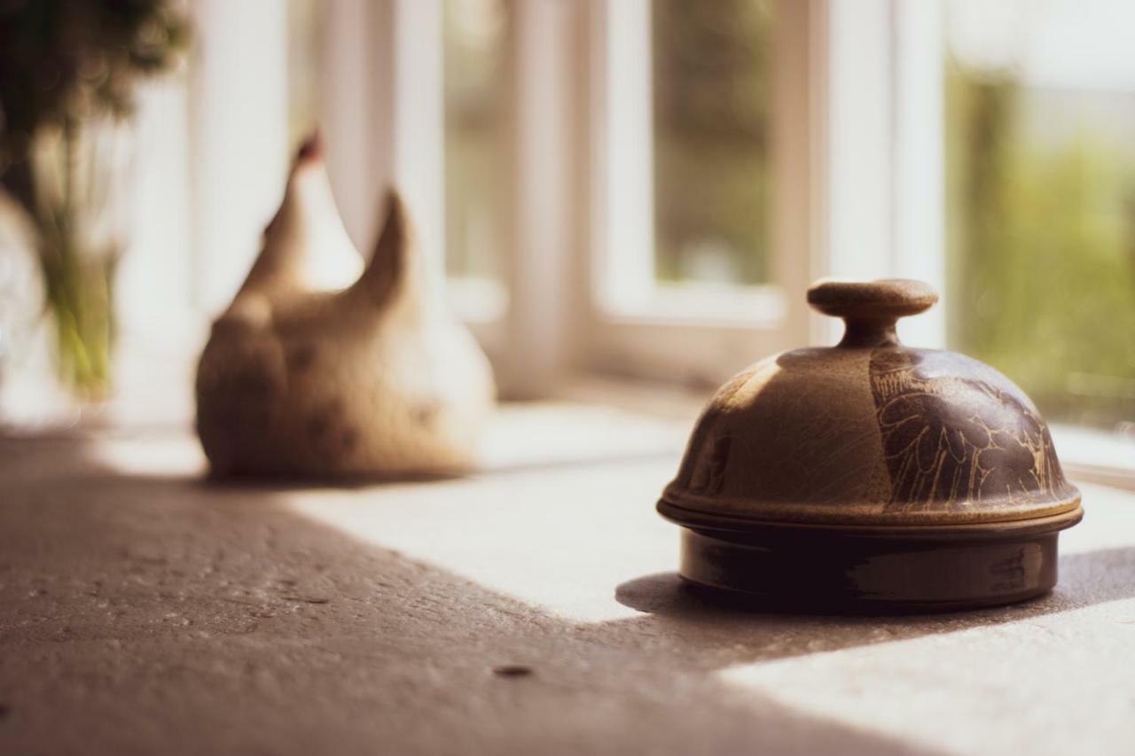 Pontyclerc Farm House Bed And Breakfast アンマンフォード エクステリア 写真
